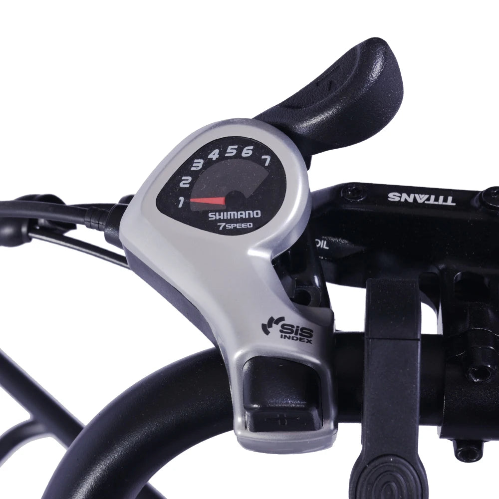 Elektrické kolo GOGOBEST GF200