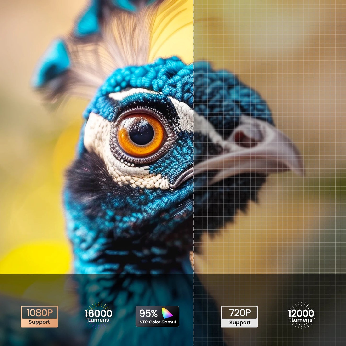 Mini projektor TOPTRO