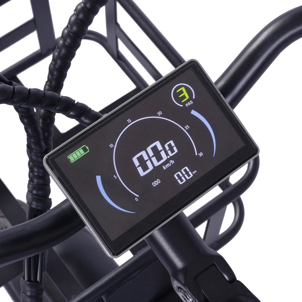 Elektrické kolo GOGOBEST GF200