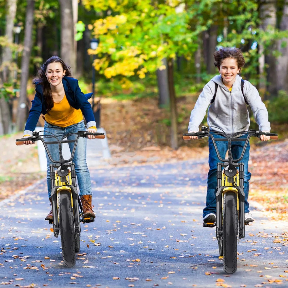 Elektrické kolo Hidoes C8 700W