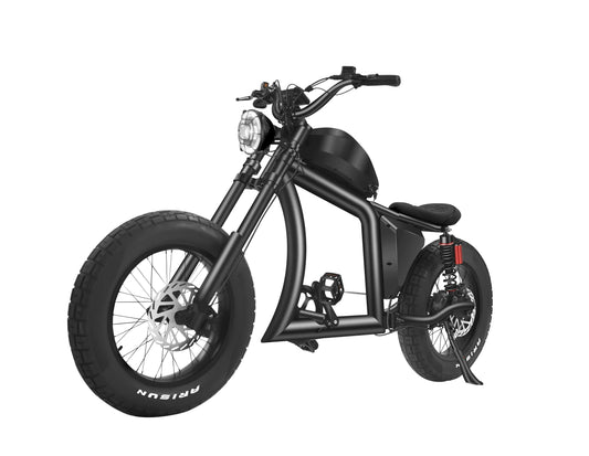 Dogebos FT-02S 750W48V27AH Offroad-Elektrofahrrad